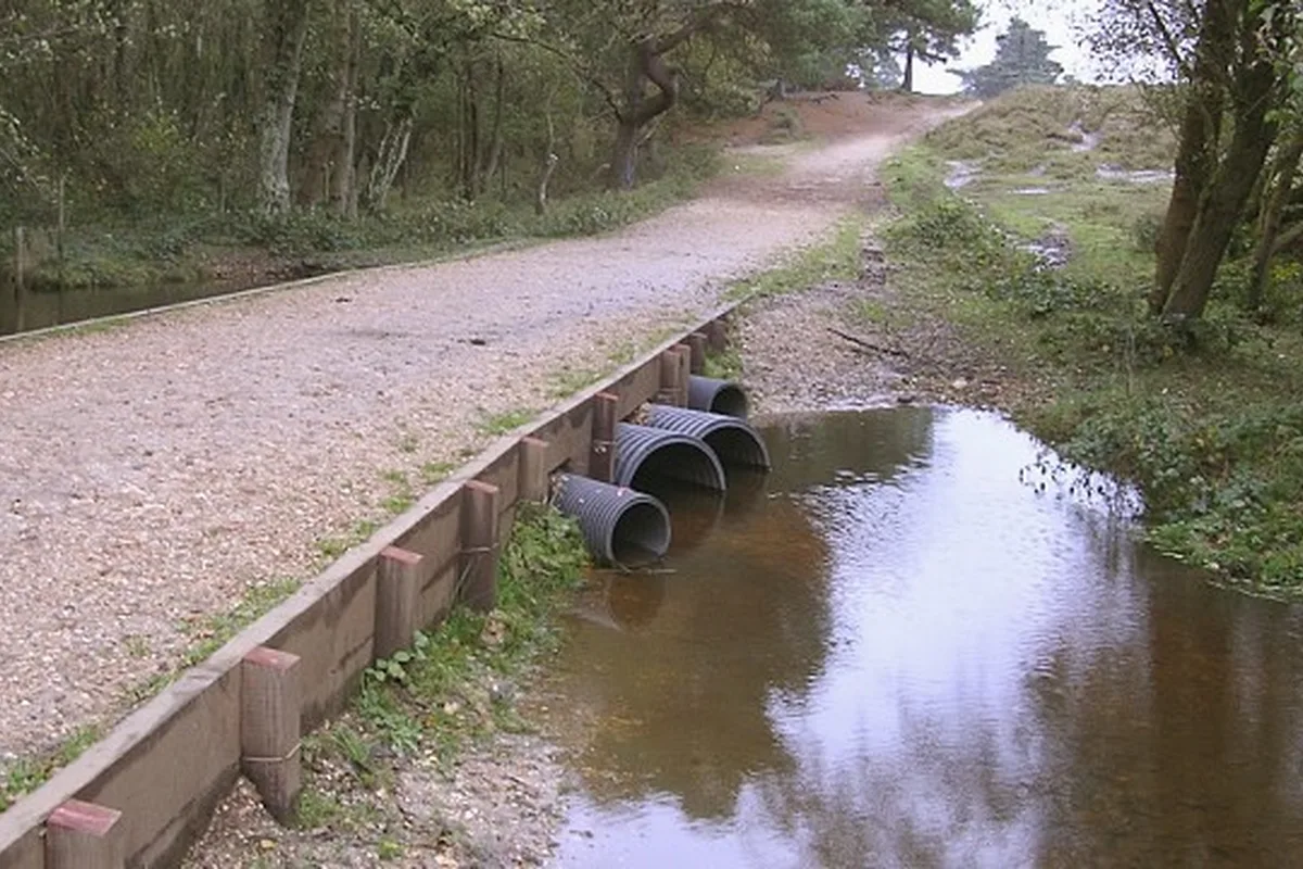 Sendero vacío sin personas